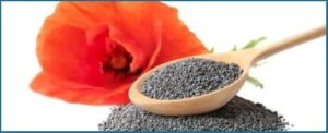 Natural Neuropathy Relief – order options